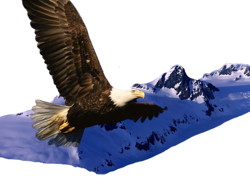 ΢ňDƬ_20210317162132.png